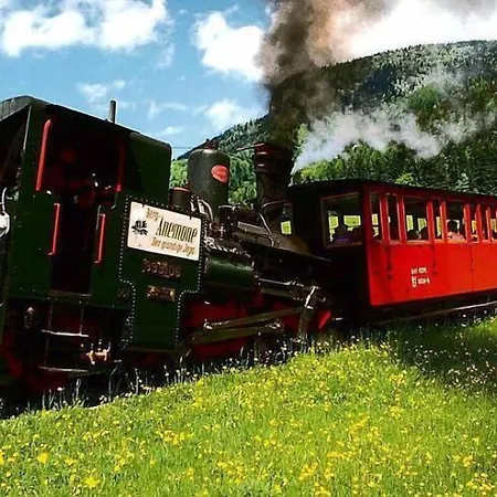 The View Saint Wolfgang