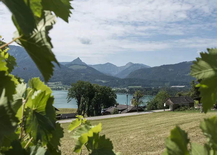 The View * Saint Wolfgang